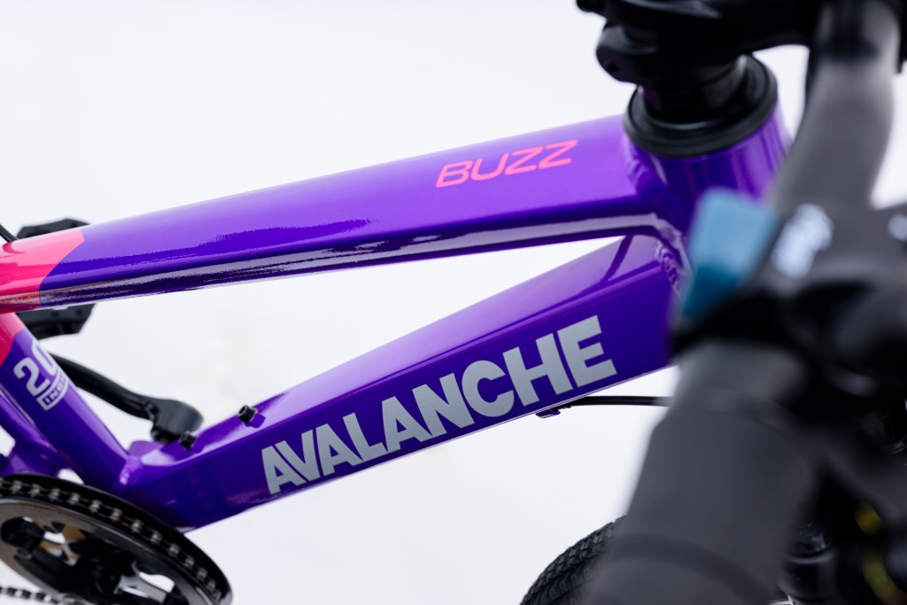 20" Avalanche Buzz