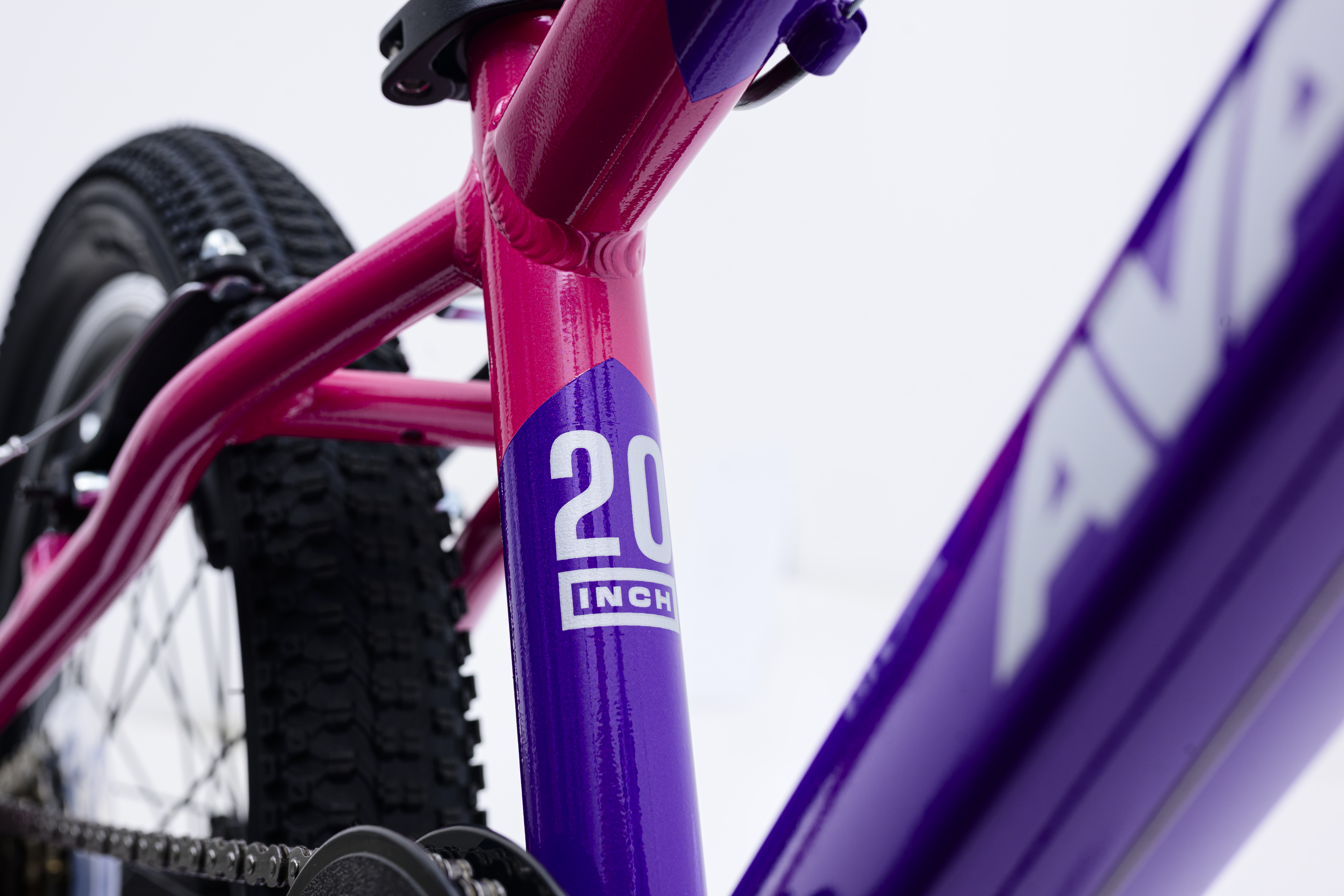 20" Avalanche Buzz - Image 4