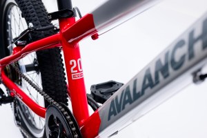 20" Avalanche Buzz - Image 7