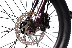20" Avalanche Flash - Image 9