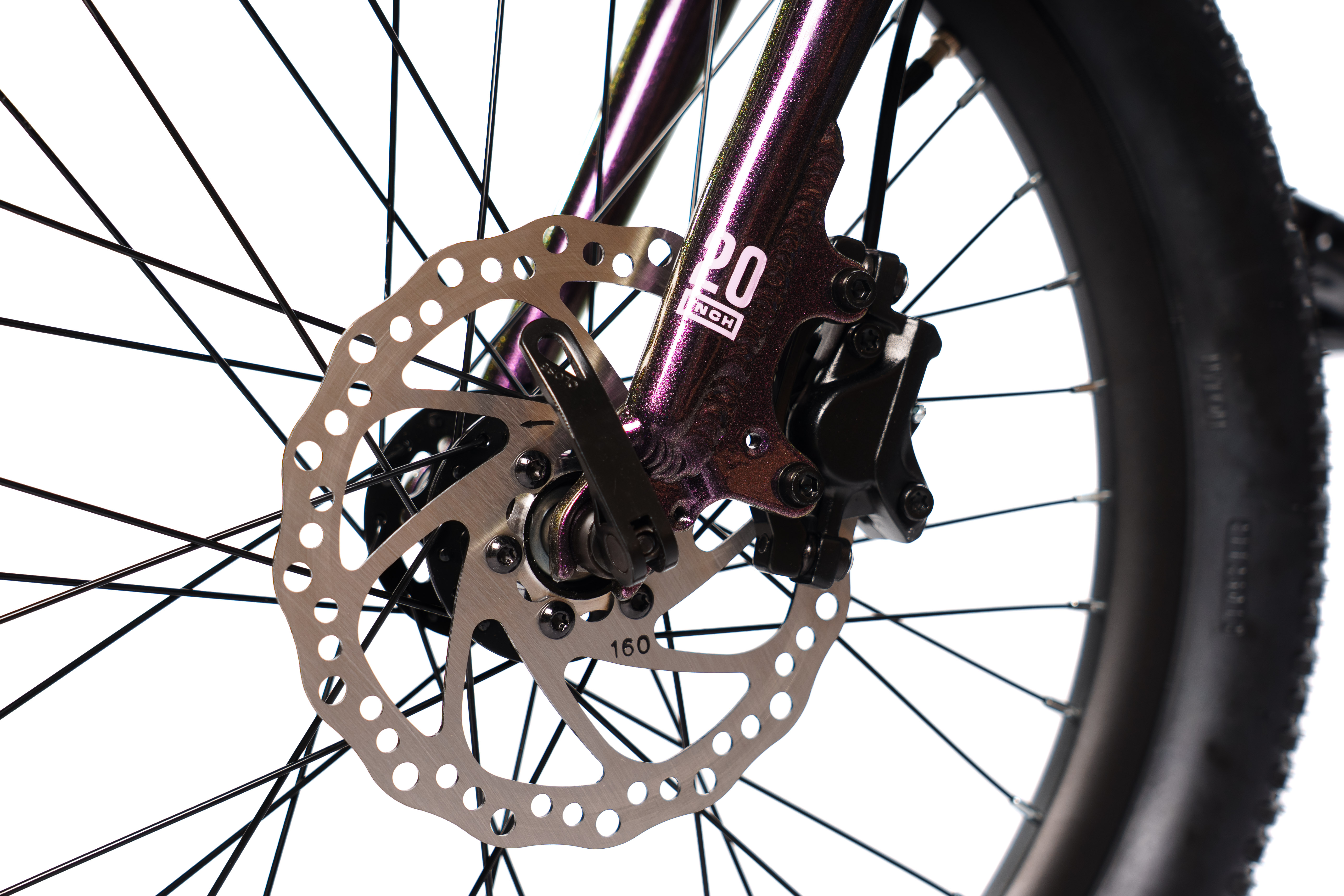 20" Avalanche Flash - Image 9