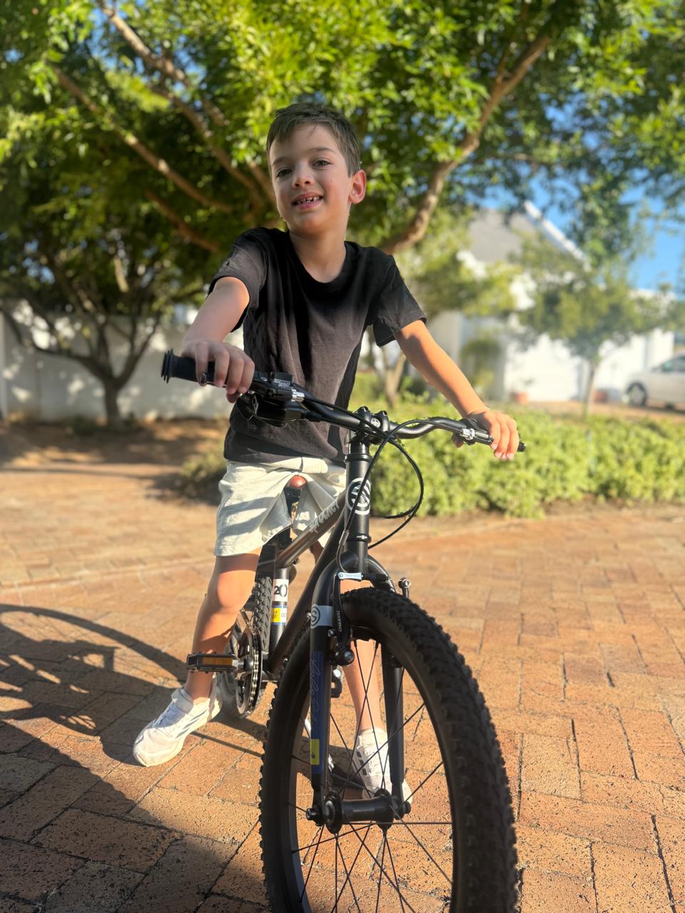 20" Sprocket - Image 4